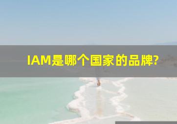 IAM是哪个国家的品牌?