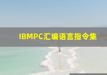 IBMPC汇编语言指令集