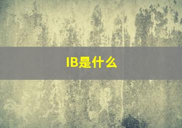 IB是什么