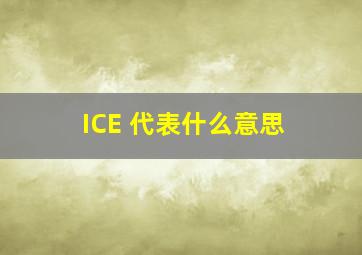 ICE 代表什么意思