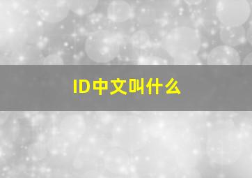 ID中文叫什么
