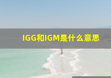 IGG和IGM是什么意思