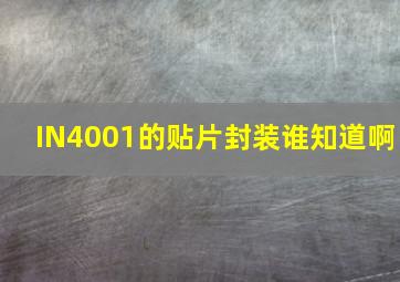 IN4001的贴片封装谁知道啊