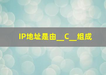 IP地址是由__C__组成 。