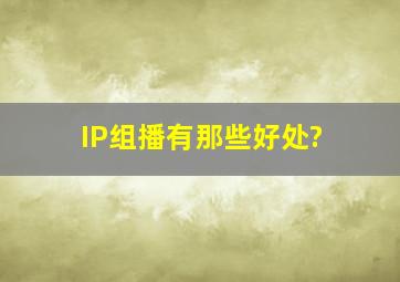 IP组播有那些好处?