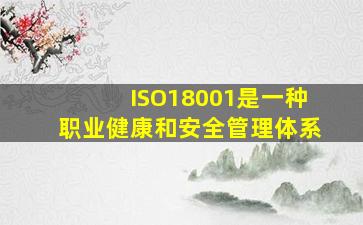 ISO18001是一种职业健康和安全管理体系