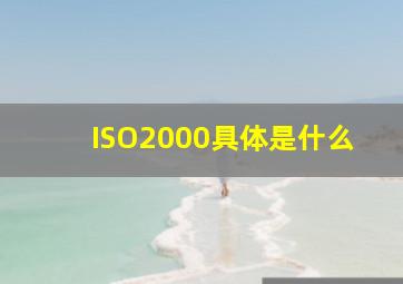 ISO2000具体是什么