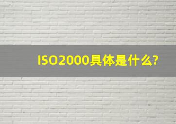 ISO2000具体是什么?