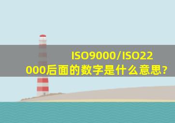 ISO9000/ISO22000后面的数字是什么意思?