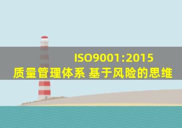 ISO9001:2015 质量管理体系 基于风险的思维