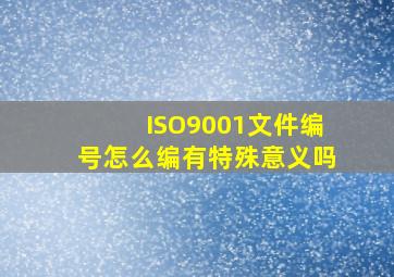 ISO9001文件编号怎么编,有特殊意义吗