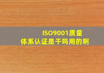 ISO9001质量体系认证是干吗用的啊(