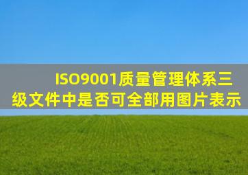 ISO9001质量管理体系三级文件中是否可全部用图片表示(