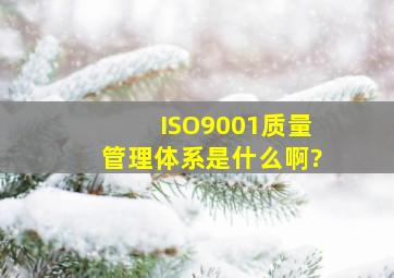 ISO9001质量管理体系是什么啊?