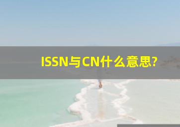 ISSN与CN什么意思?