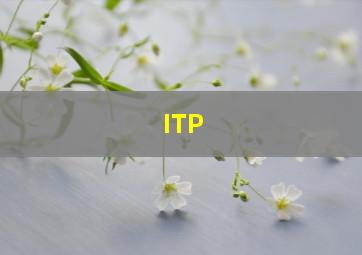 ITP( )