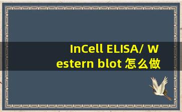 InCell ELISA/ Western blot 怎么做 ICE/ICB 