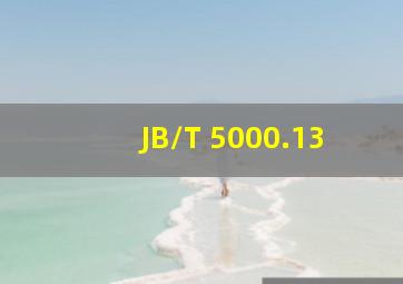 JB/T 5000.13