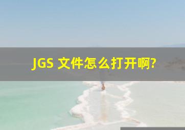 JGS 文件怎么打开啊?