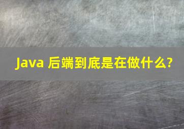 Java 后端到底是在做什么?