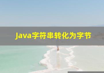 Java字符串转化为字节