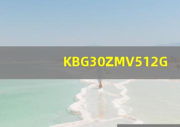 KBG30ZMV512G