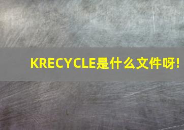 KRECYCLE是什么文件呀!