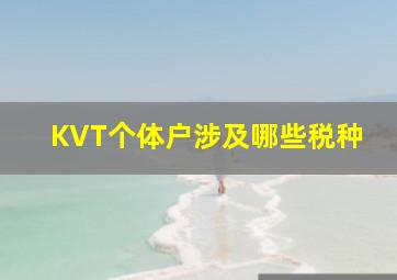 KVT个体户涉及哪些税种