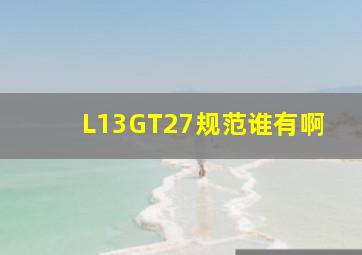 L13GT27规范谁有啊(