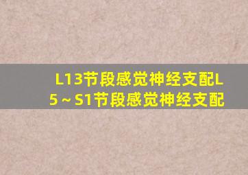 L13节段感觉神经支配()。,L5～S1节段感觉神经支配()。