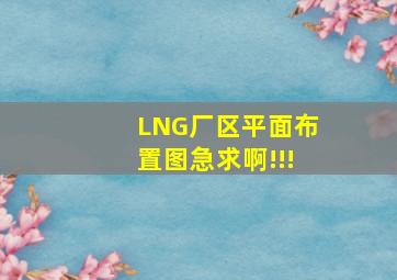 LNG厂区平面布置图,急求啊!!!