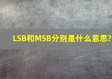 LSB和MSB分别是什么意思?