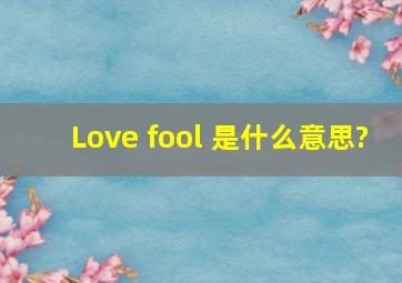 Love fool 是什么意思?