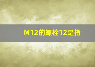 M12的螺栓,12是指()。