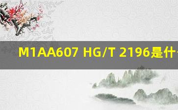 M1AA607 HG/T 2196是什么橡胶