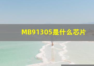 MB91305是什么芯片