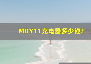 MDY11充电器多少钱?