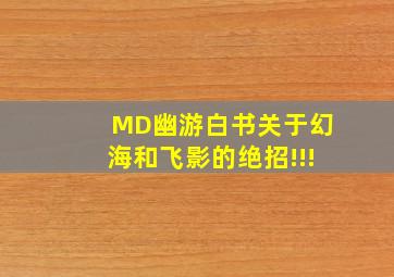 MD幽游白书关于幻海和飞影的绝招!!!