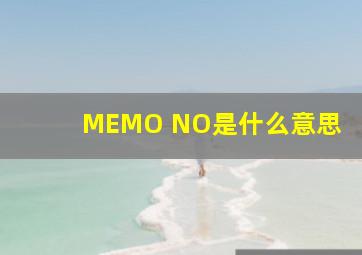 MEMO NO是什么意思