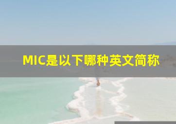 MIC是以下哪种英文简称()。