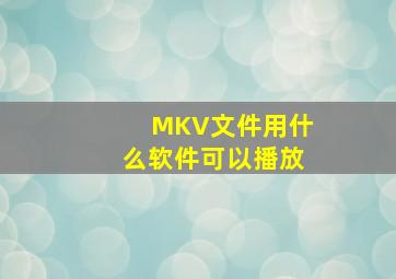 MKV文件用什么软件可以播放