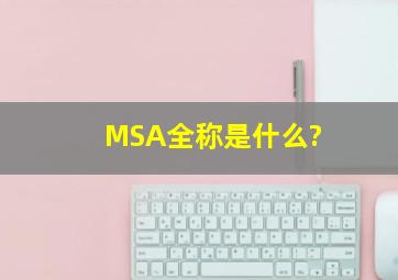 MSA全称是什么?