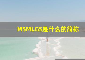 MSMLGS是什么的简称