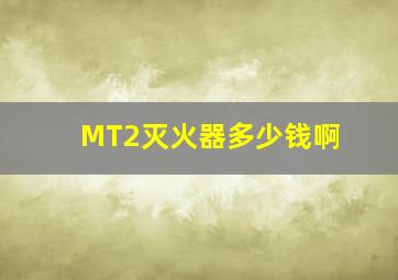 MT2灭火器多少钱啊(