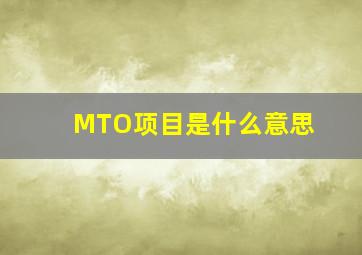 MTO项目是什么意思