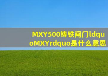 MXY500铸铁闸门“MXY”是什么意思