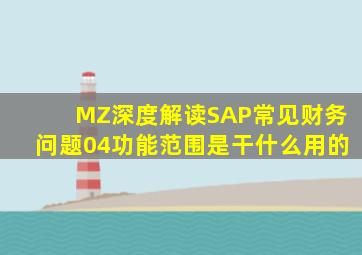 MZ深度解读SAP常见财务问题04功能范围是干什么用的