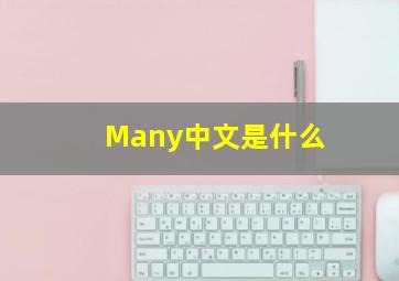 Many中文是什么