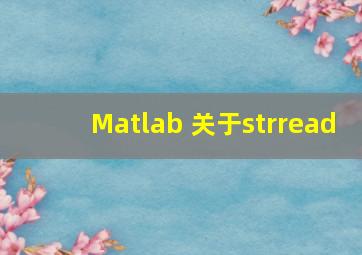 Matlab 关于strread