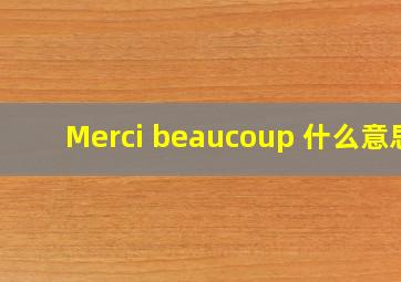 Merci beaucoup 什么意思